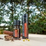 Onde comprar produtos naturais e óleos essenciais em Vila Velha